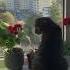 Дневник Кота Cat Cute Animals Kitten Funny Pets