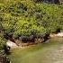 DJ JEDY When Did You Come Home Shorts Viralvideo Nature Melody Relaxingmusic Chillvibes