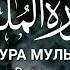 Омар Хишам Сура Мульк Власть القرآن الكريم