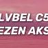 Lvbel C5 Sezen Aksu Hani Çağırdığın Kızlar Nerdeler Osman Şarkı Sözleri Lyrics In TR