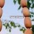 Tasbih 33 Beads Bakelite Tasbih Handmadetasbih Youtubeshorts تسبیح Tasbih33beads Notforsale