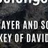 Music For Prayer And Soaking Key Of David 444Hz With Scriptures