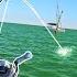 Hooking UNSTOPPABLE Fish On Light Tackle Exmouth Marina Fishing