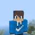 Irineu Minecraft Shorts