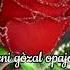 Gòzal Opajonim