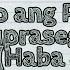 FILIPINO Ano Ang Ponemang Suprasegmental Haba At Diin IQuestionPH