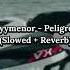 Floyymenor Peligrosa Slowed Reverb 1 Hour