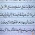 AYAT AL KURSI آيت الکرسی Ayatulkursi Quranrecition Motivation Shortvideo