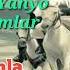 Abdulloh Domla 24 Dars Zakariyo Va Yahyo Alayhissalomlar Payg Ambarlar Qissalari