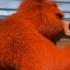 Grizzly Les Lemmings Смешное как лемминг надувается и сдувается как шарик