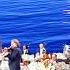 André Rieu And His Johann Strauss Orchestra The Beautiful Blue Danube