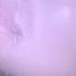 Lara Fabian Si Tu M Aimes Nouvelle Version REMASTERED OFFICIAL MUSIC VIDEO 1998