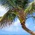 Hidden Tropical Beach Ambience In Panama