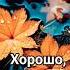 Кружит осенний листопад
