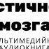 Пластичность мозга Как усовершенствовать свой мозг Сильные и слабые функции мозга