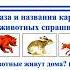 Запись вебинара от 29 11 2017г