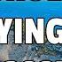 LOUD TROLL ANNOYING Roblox Ids WORKING 2025
