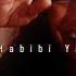 Amir Diab Habibi Ya Nour El Ain Slowed Reverb