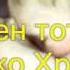 БЛАЖЕН ТОТ ДОМ В КОТОРЫЙ ТЫ СПАСИТЕЛЬ Bogmedia