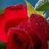 Barzin