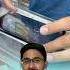 Tempered Glass Use Panuna Warranty Kedayatha