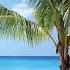 Island Getaway