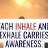 What Role Does Breath Play In Yoga Practices Daily