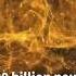 Three Pounds Floating In Water BRAIN Kraus Houston Shorts Humanbrain Neuron Anatomy Neuro