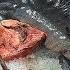 Bangladesh Big Fish Food Market Fish Market AD Food Network