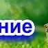 Аффирмации На Здоровье И Исцеление