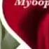 Рамазон хуш омад