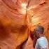 Unlock Your Dreams Reverse Engineer Your Goals For Massive Success