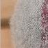 How To Repair A Hole In A Sock With Darning