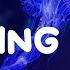 OneRepublic Counting Stars Lyrics