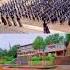 Kumbhashree Residential School And College Venur Belthangady Tq