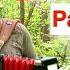 Душевно спел песню Комбайнёры Игоря Растеряева на Аккордеоне Баяне
