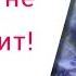 Секс и любовь или энергетический вампиризм