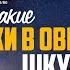 Кто такие волки в овечьих шкурах Библия говорит 1182