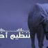 Nasheed ন শ দ Hal Turana Naltaqi হ ল ত র ন ন লত ব ক Arabic Nasheed