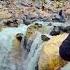 Terviralblogs Rambada Kedarnath Lovemusic Travel