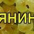 Смородина белая Смольяниновская Краткий обзор описание характеристик Ribes Rubrum Smolianinovskaia