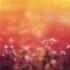 Shokugeki No Soma Ending 2