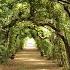 One Minute In The Boboli Gardens