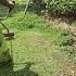 Mowing Of The Lawn