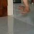 Cats Drifts Catshorts Shortsvideo