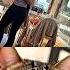 Sorry Cat Memes Funny Trending