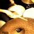 MJF 2014 Internet Round Drums Christin Neddens USA 01 Full