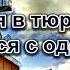 Как я в тюрьме встретился с одержимым Хорев М И Истории из жизни МСЦ ЕХБ