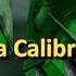 Sparta Calibri Base REUPL