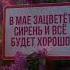май сирень саблиминал аффирмацияналюбовь психология силасознания медитация душадух